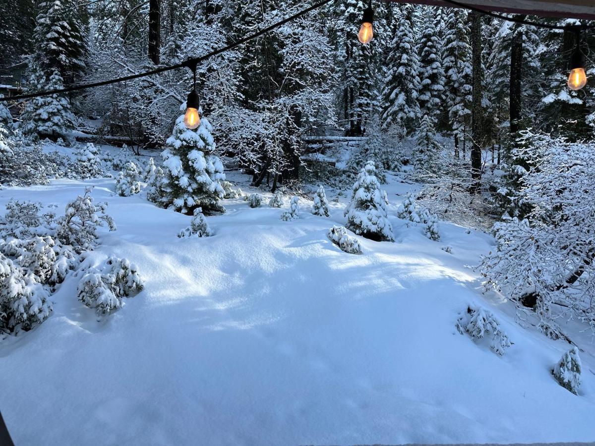 Yobee! Park Reservation Included! Heart Of Yosemite - Homey Studios And Breakfast Yosemite West Ngoại thất bức ảnh